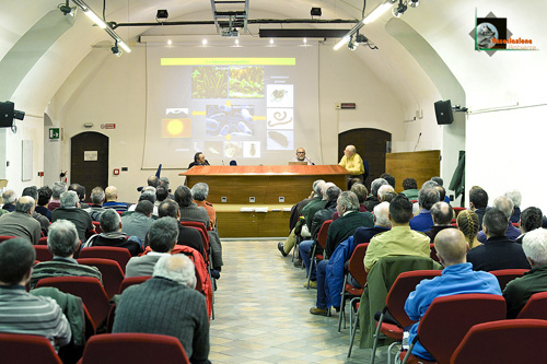 Sala del Castello degli Acaja di Fossano
