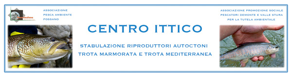 Struttura di Demonte per la stabulazione di riproduttori autoctoni